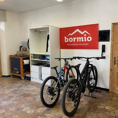 Apartment Mansarda Con Vista Panoramica Su Pista Stelvio A Bormio